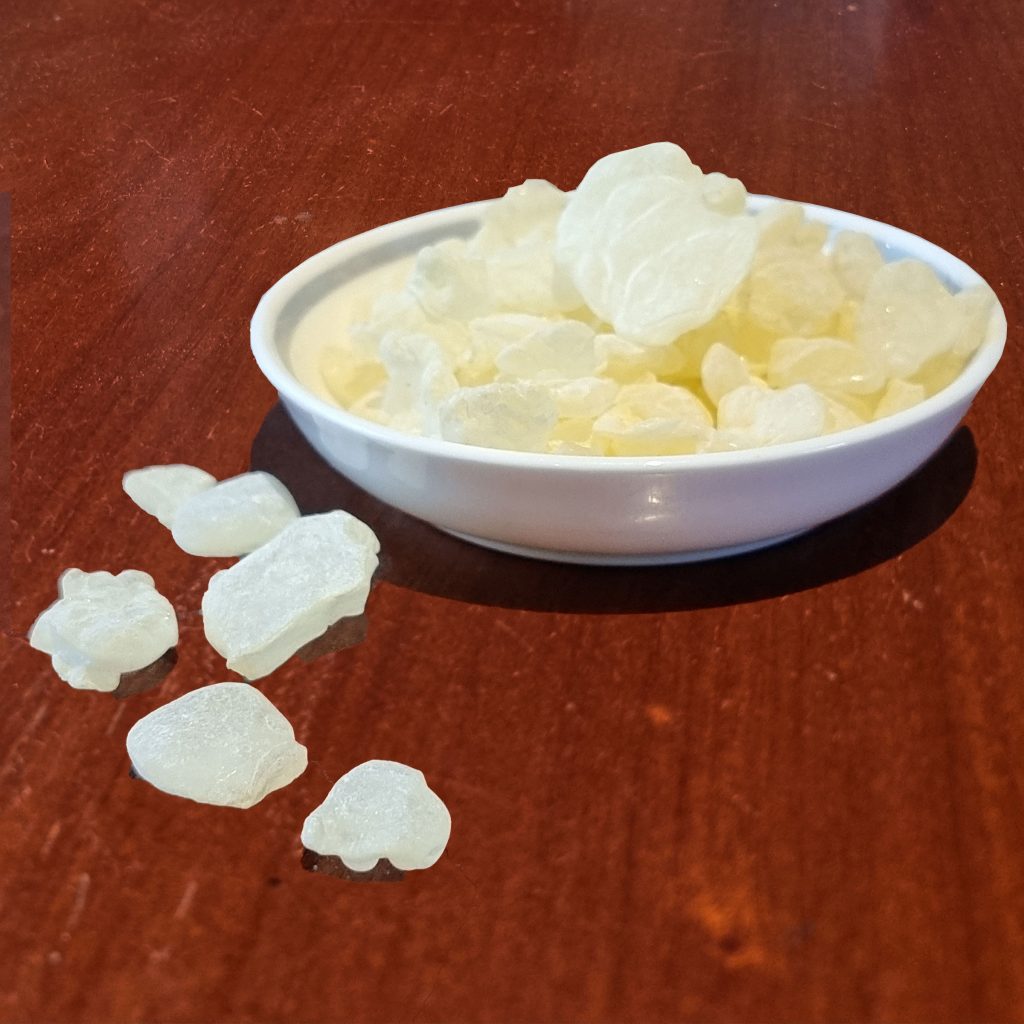 Mastic, Mastiha Large Tears (Pistacia lentiscus) The Mastiha Shop